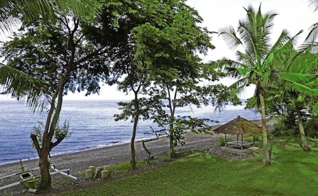 Bali Au Naturel (Adults Only) Tejakula Eksteriør billede