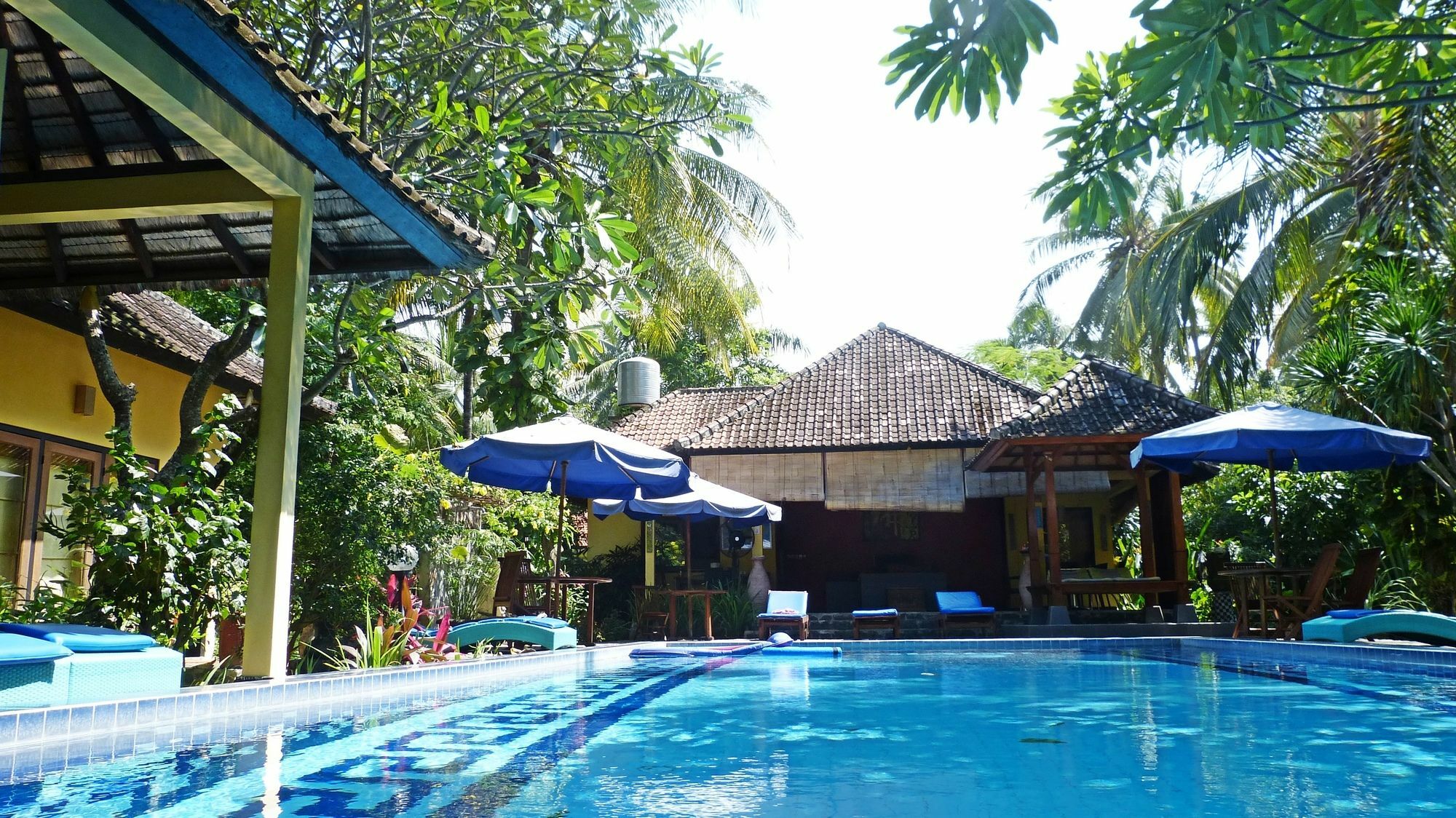 Bali Au Naturel (Adults Only) Tejakula Eksteriør billede